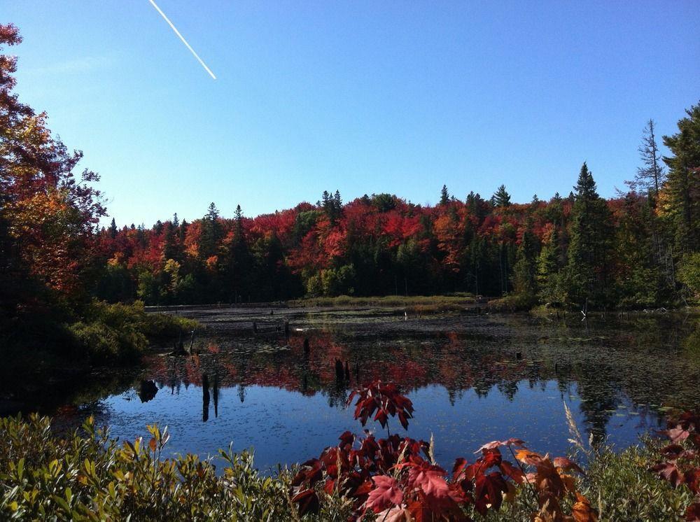 Glenview Cottages Sault Ste. Marie Dış mekan fotoğraf